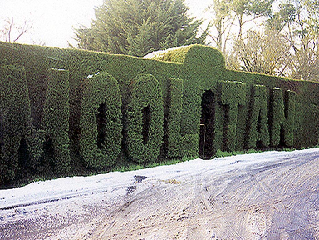 Mooltan House Hepburn Springs Exterior foto